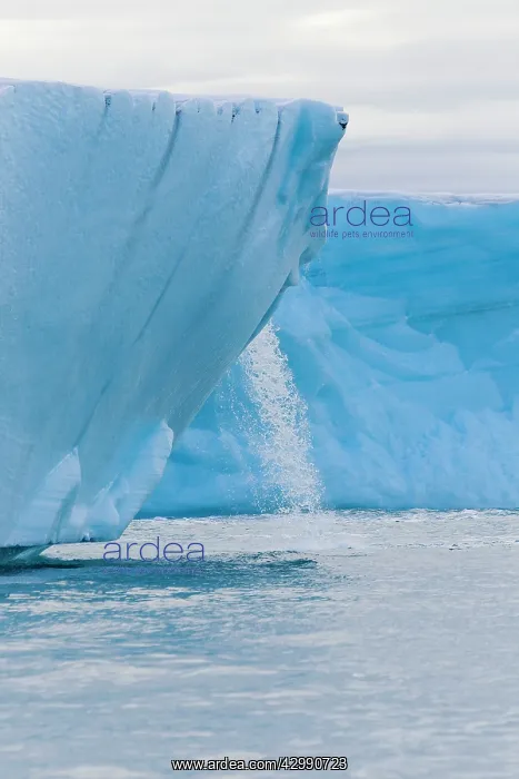 : Brasvell's Glacier - melting : Brasvell's Glacier - melting