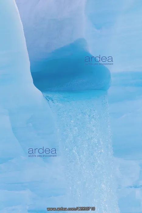 : Brasvell's Glacier - melting - waterfall : Brasvell's Glacier - melting - waterfall