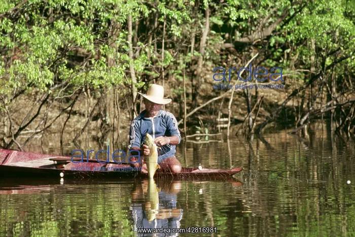 : BRAZIL - Amazon, Gill Net Fishing : BRAZIL - Amazon, Gill Net Fishing