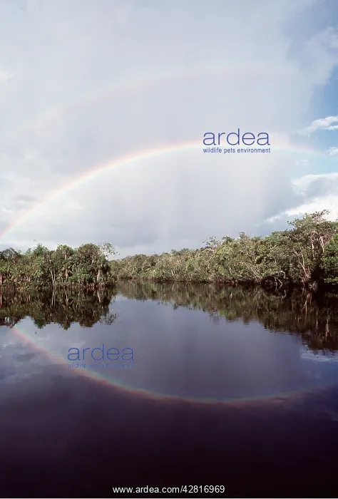 : BRAZIL - Amazon River and Rainbow : BRAZIL - Amazon River and Rainbow