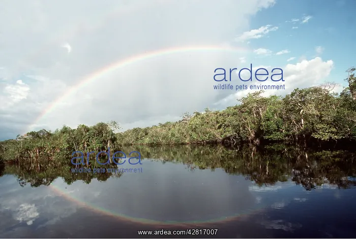 : BRAZIL - Amazon River and Rainbow : BRAZIL - Amazon River and Rainbow