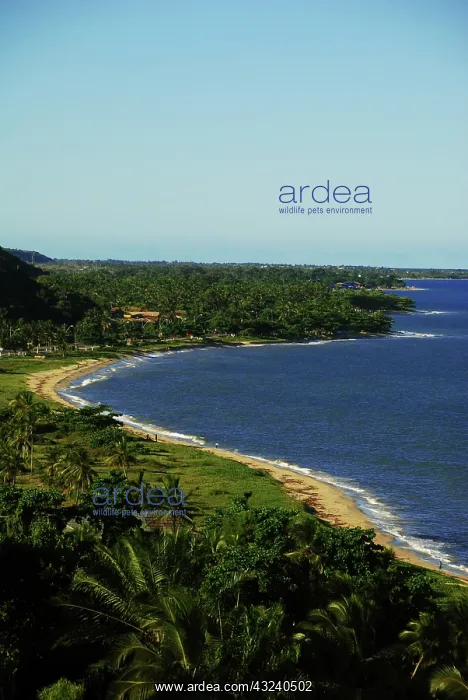 : Brazil, Bahia, Porto Seguro, Arraial d'Ajuda : Brazil, Bahia, Porto Seguro, Arraial d'Ajuda