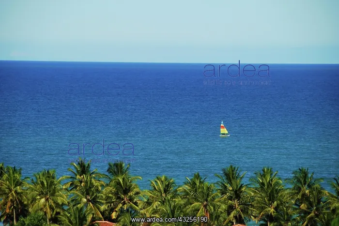 : Brazil, Bahia, Porto Seguro, Arraial d'Ajuda : Brazil, Bahia, Porto Seguro, Arraial d'Ajuda