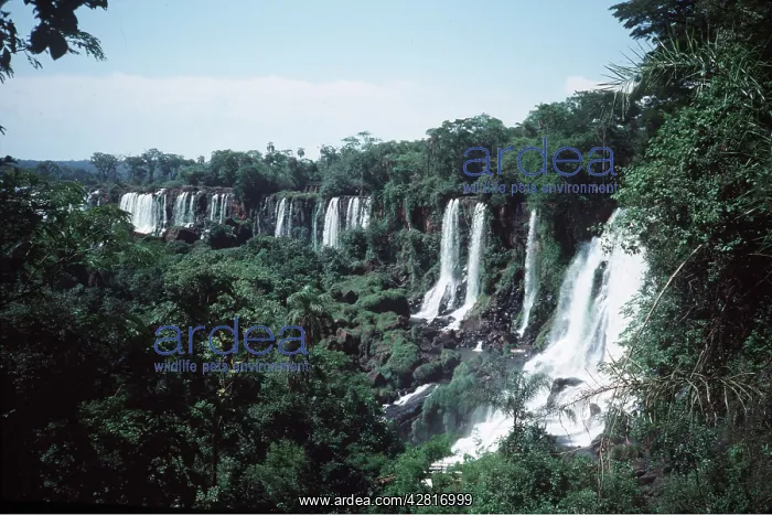 : BRAZIL - IGUAZU FALLS : BRAZIL - IGUAZU FALLS