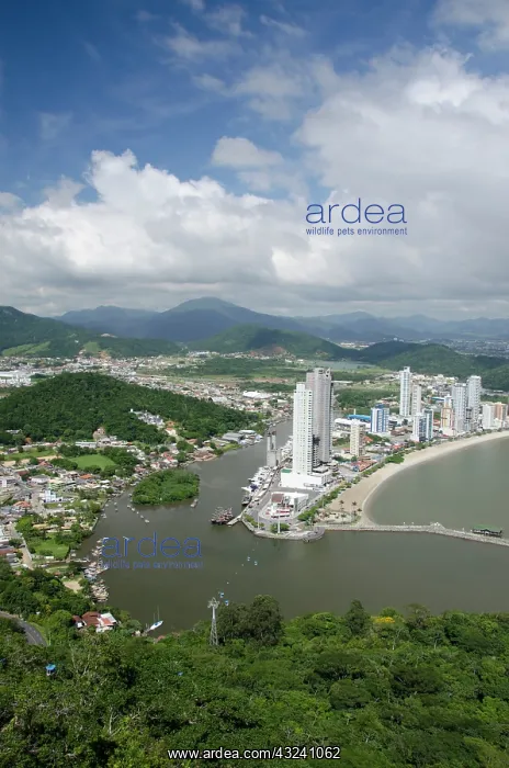 : Brazil, Santa Catarina, Camboriu. Balneario : Brazil, Santa Catarina, Camboriu. Balneario