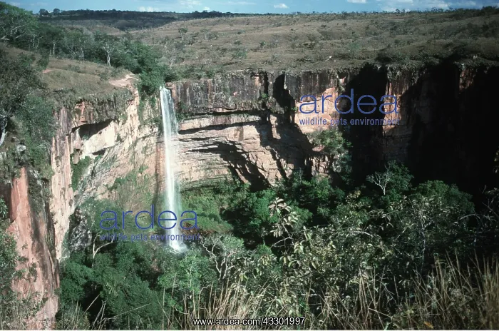 : BRAZIL - Waterfall, Chapada des Guimeres Mato Grosso : BRAZIL - Waterfall, Chapada des Guimeres Mato Grosso