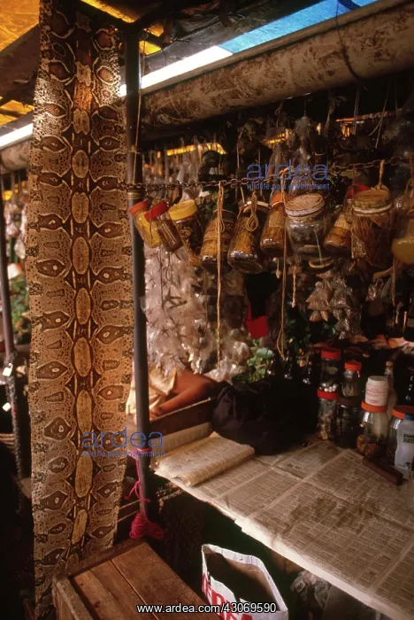 : Brazilian Apothecary : Brazilian Apothecary