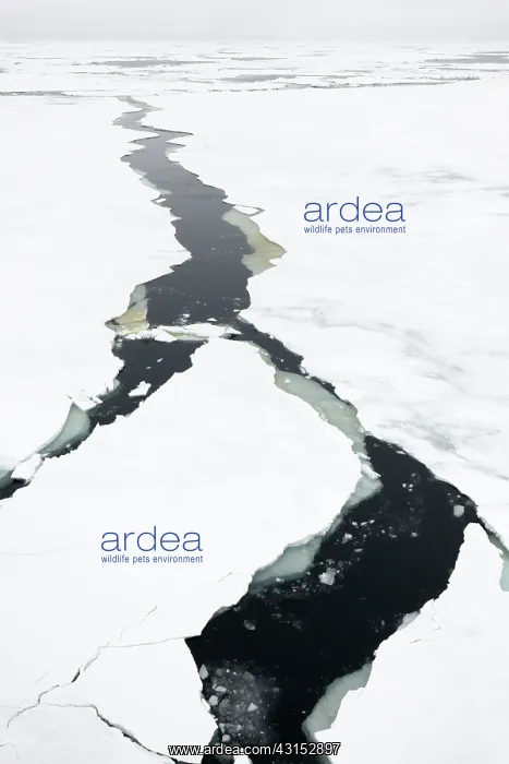 : Breaking the Ice at the bow of Expedition Ship : Breaking the Ice at the bow of Expedition Ship