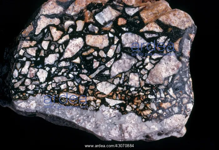: Breccia formation from Colorado : Breccia formation from Colorado