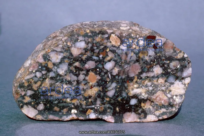 : Breccia, a sedimentary rock, from Tasmania, Australia : Breccia, a sedimentary rock, from Tasmania, Australia