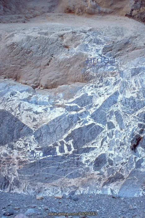 : Breccia. Spectacular carbonate breccia with calcite infilling : Breccia. Spectacular carbonate breccia with calcite infilling