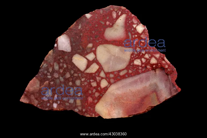 : Breccia jasper and agate : Breccia jasper and agate