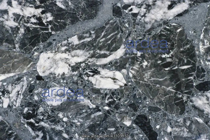: Brecciated Marble : Brecciated Marble