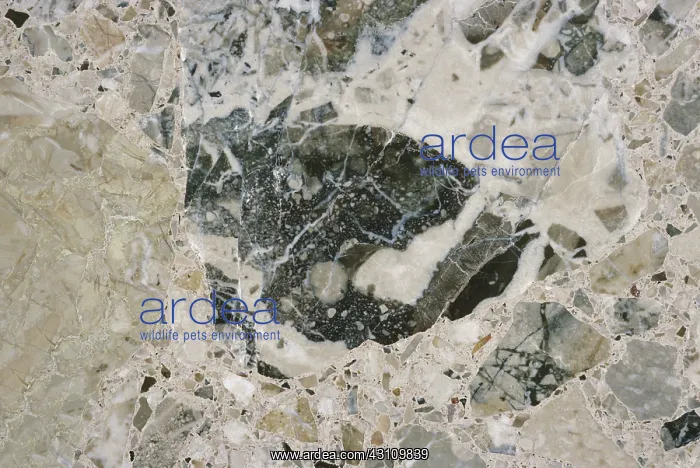 : Brecciated Marble : Brecciated Marble