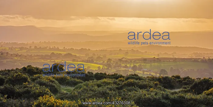  : Brecon beacons National Park, Sunset, Wye valley