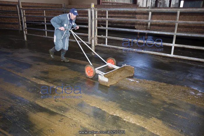 : Breeder cleaning the area of Parkway Cows France : Breeder cleaning the area of Parkway Cows France