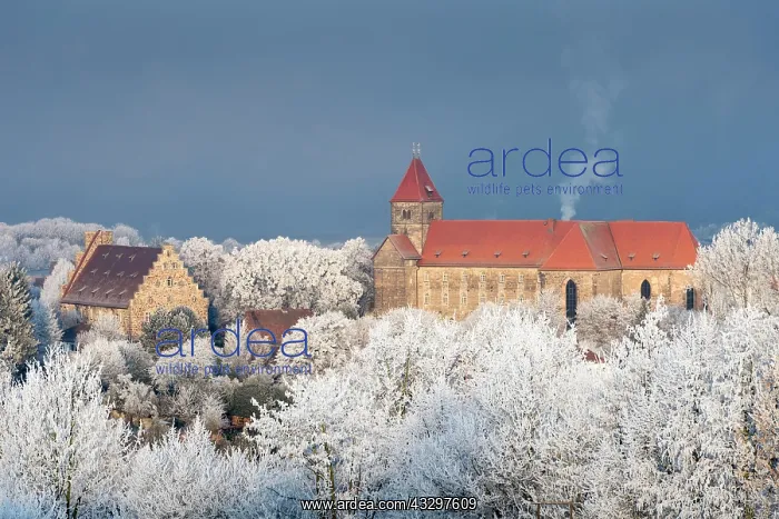 : Breitenau Monastery, trees with hoarfrost, Guxhagen : Breitenau Monastery, trees with hoarfrost, Guxhagen