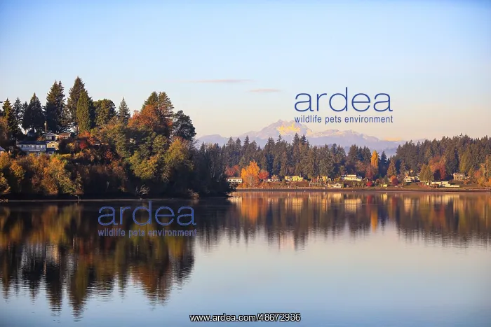 : Bremerton, Washington State, USA. Autumn reflections : Bremerton, Washington State, USA. Autumn reflections