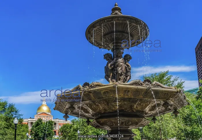 : Brewer Fountain, Boston Common, State House, Boston : Brewer Fountain, Boston Common, State House, Boston