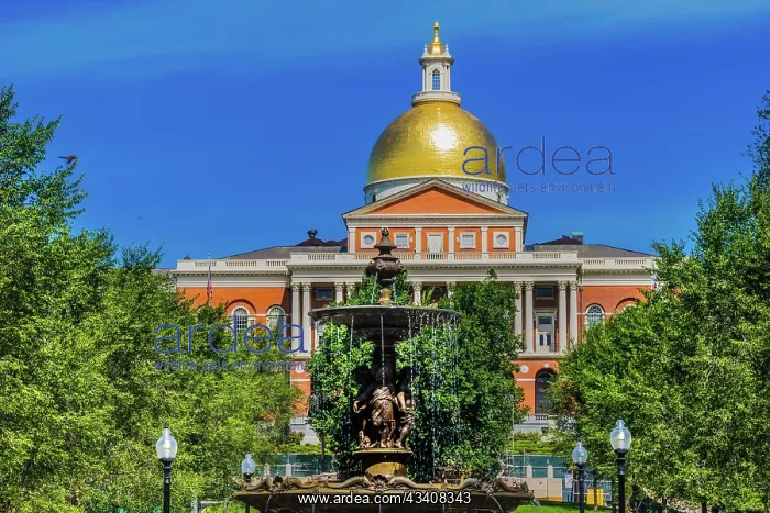 : Brewer Fountain, Boston Common, State House, Boston : Brewer Fountain, Boston Common, State House, Boston