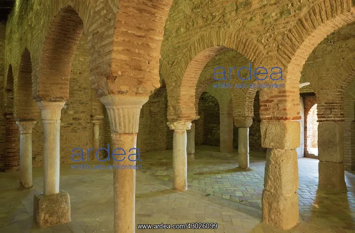 : Brick horseshoe arches in the tenth-century mosque of Al : Brick horseshoe arches in the tenth-century mosque of Al