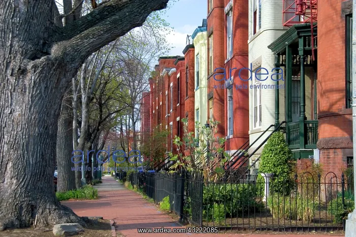 : Brick row houses on Capitol Hill in Washington : Brick row houses on Capitol Hill in Washington