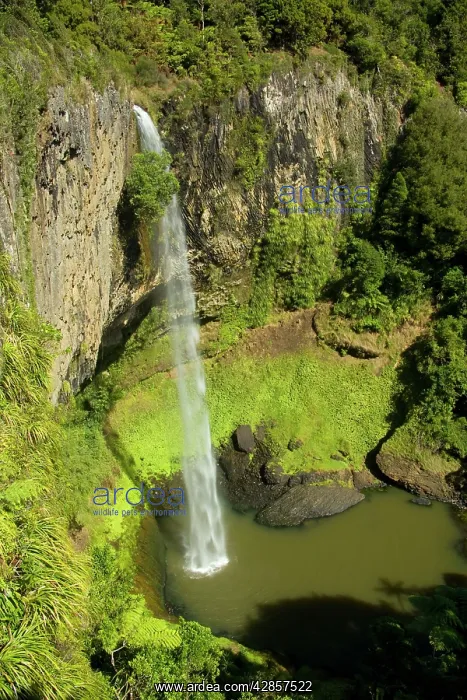 : Bridal Veil Falls - water rushes in a thin jet : Bridal Veil Falls - water rushes in a thin jet
