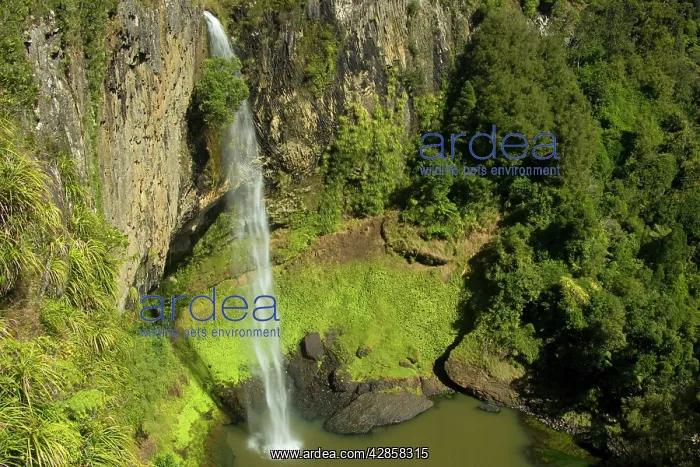 : Bridal Veil Falls - water rushes in a thin jet : Bridal Veil Falls - water rushes in a thin jet