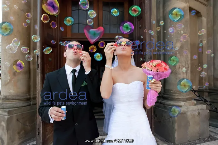 : Bride and groom, bridal couple blowing bubbles : Bride and groom, bridal couple blowing bubbles