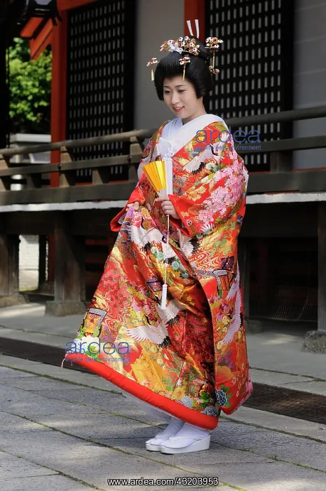  : Bride wearing a traditional kimono in a Shinto wedding