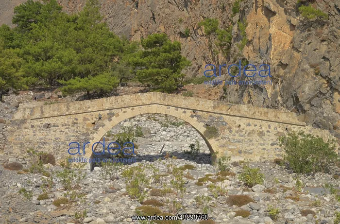 : Bridge, Agia Roumeli, Crete, Greece, Europe : Bridge, Agia Roumeli, Crete, Greece, Europe