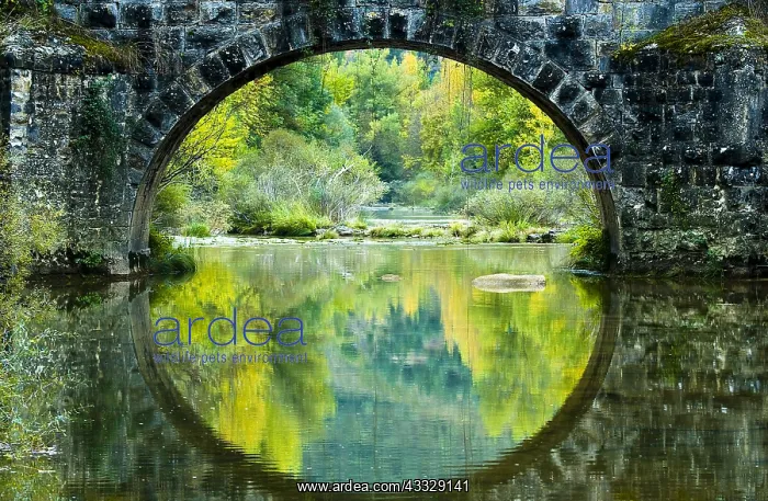 : Bridge in Autum, River Salazar( Spain) : Bridge in Autum, River Salazar( Spain)