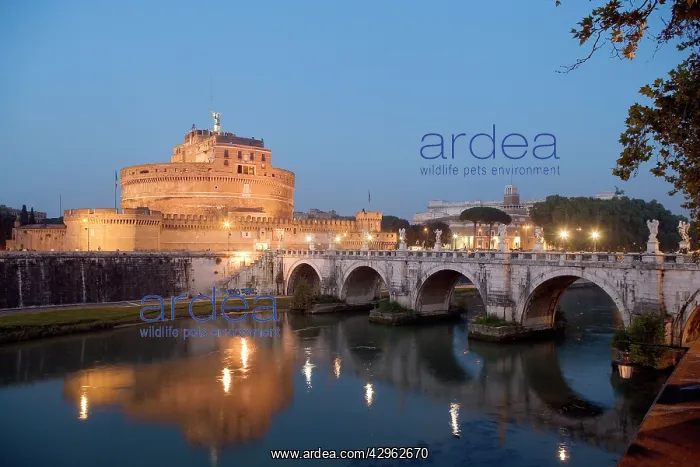 : Bridge crossing Tiber River - Castel Sant'angelo : Bridge crossing Tiber River - Castel Sant'angelo