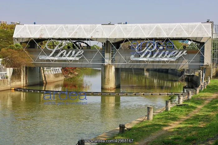 : Bridge at the Heart of Love River, Kaohsiung City, Taiwan : Bridge at the Heart of Love River, Kaohsiung City, Taiwan
