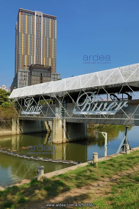  : Bridge at the Heart of Love River, Kaohsiung City, Taiwan