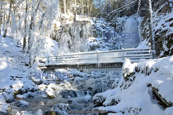 : Bridge with icicles and icy waterfall, winter landscape : Bridge with icicles and icy waterfall, winter landscape