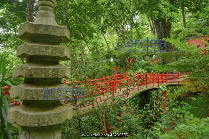 : Bridge, Monte Palace Tropical Garden, Monte, Funchal : Bridge, Monte Palace Tropical Garden, Monte, Funchal