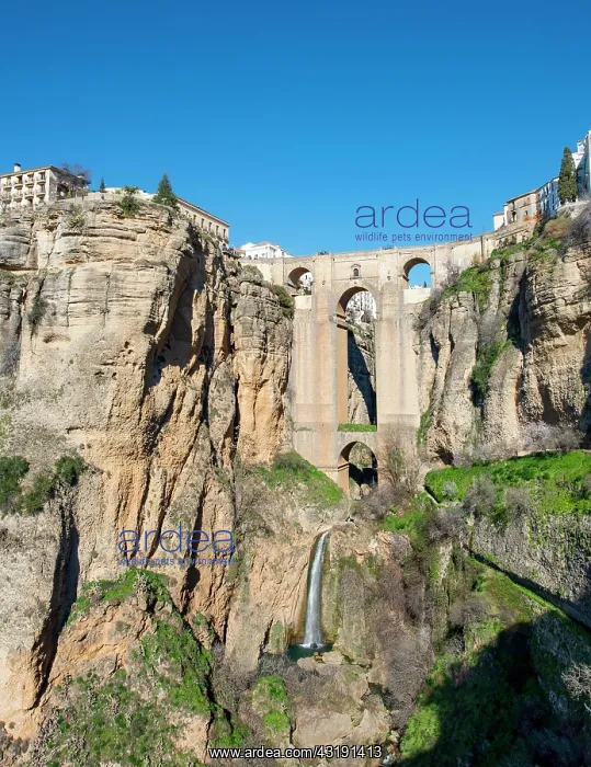 : Bridge Puente Nuevo with waterfall at steep cliffs : Bridge Puente Nuevo with waterfall at steep cliffs