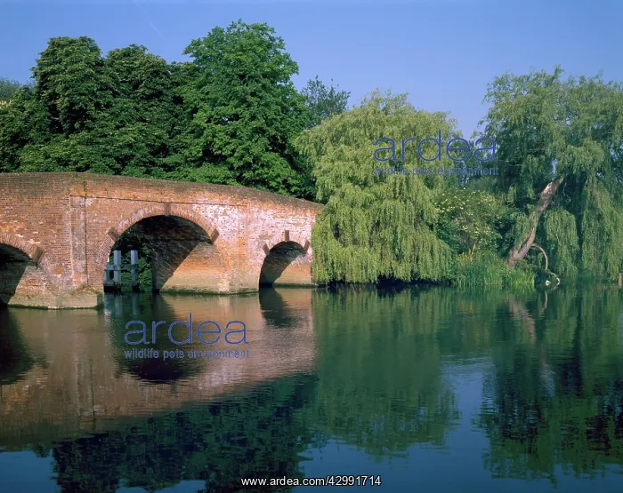 : Bridge - over River Thames : Bridge - over River Thames