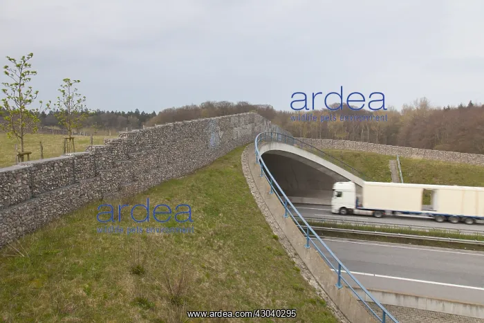 : Bridge for use by game over a freeway - Germany : Bridge for use by game over a freeway - Germany
