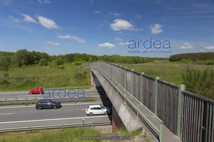 : Bridge for use by game over a freeway - Germany : Bridge for use by game over a freeway - Germany