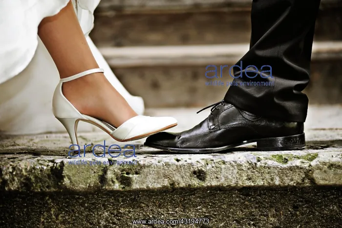 : The bridge's foot stepping on the groom's foot : The bridge's foot stepping on the groom's foot