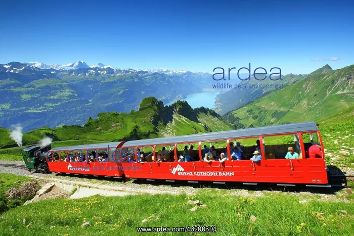 : Brienzer Rothorn, Switzerland, Europe : Brienzer Rothorn, Switzerland, Europe