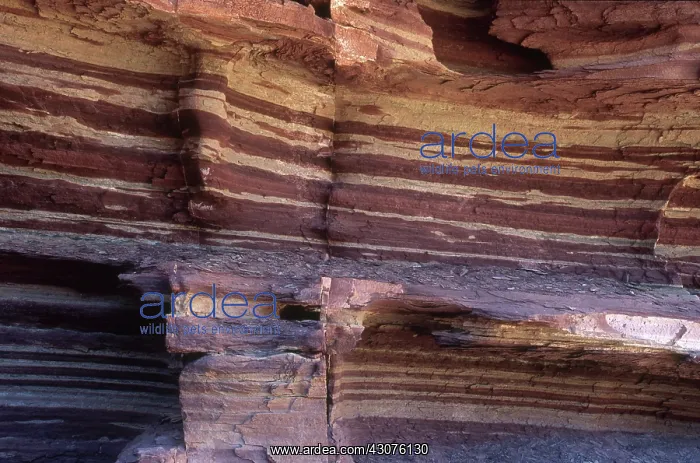 : Bright Angel Shale : Bright Angel Shale