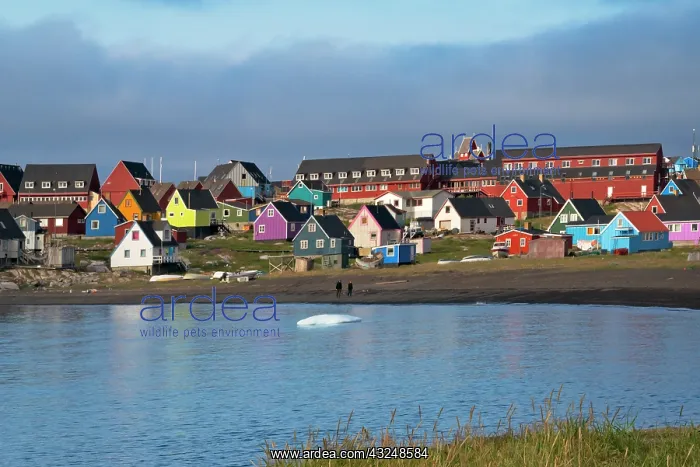 : Brightly painted houses on the beach, Qeqertarsuaq : Brightly painted houses on the beach, Qeqertarsuaq