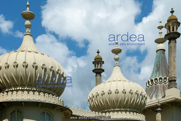 : Brighton, England, United Kingdom. Royal Pavillion and : Brighton, England, United Kingdom. Royal Pavillion and