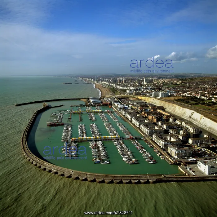 : Brighton Marina, Est Sussex, East Sussex : Brighton Marina, Est Sussex, East Sussex