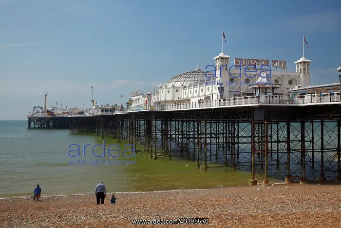 : Brighton Pier (c. 1899), Brighton, East Sussex : Brighton Pier (c. 1899), Brighton, East Sussex