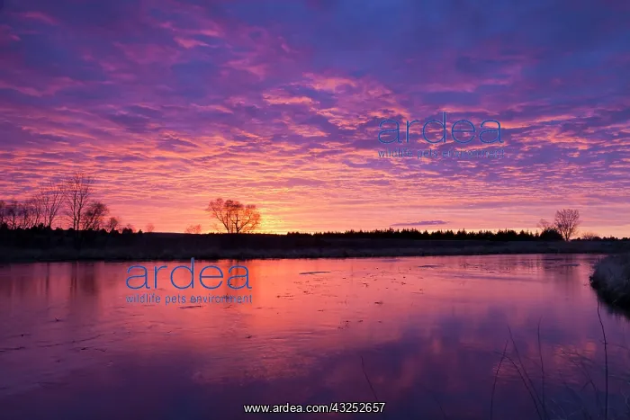 : Brilliant sunset reflects into the Calamus : Brilliant sunset reflects into the Calamus