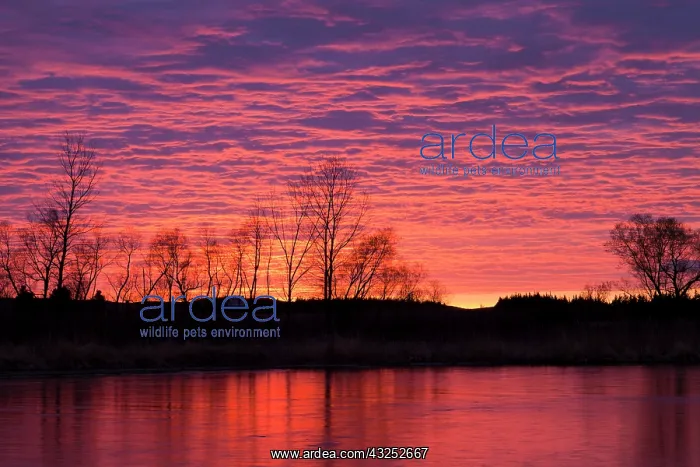 : Brilliant sunset reflects into the Calamus : Brilliant sunset reflects into the Calamus